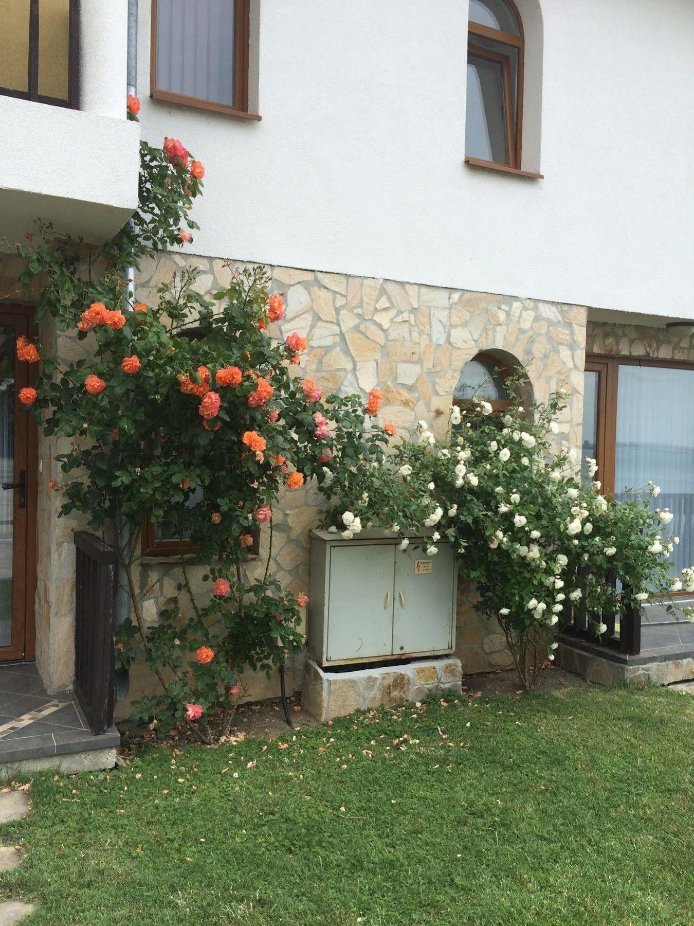 Tsb Sun Coast Apartments Sveti Vlas Buitenkant foto